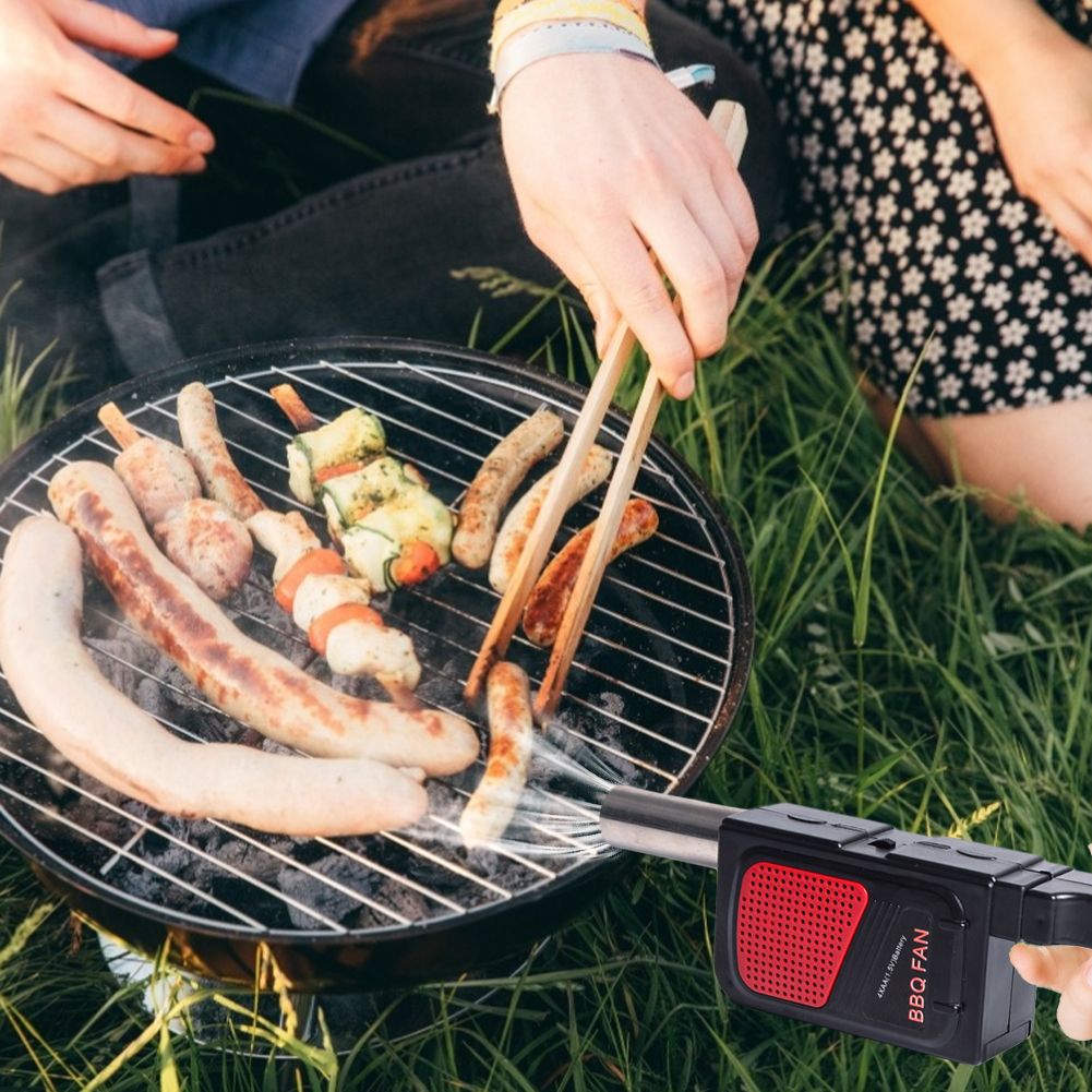Elektrischer BBQ-Holzkohleföhn
